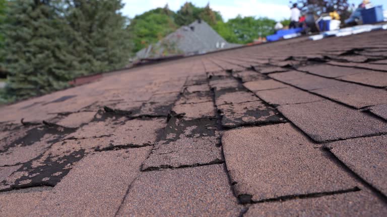 Roof Coating Services in Lynwood, IL