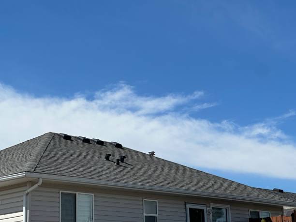 Best Chimney Flashing Repair  in Lynwood, IL